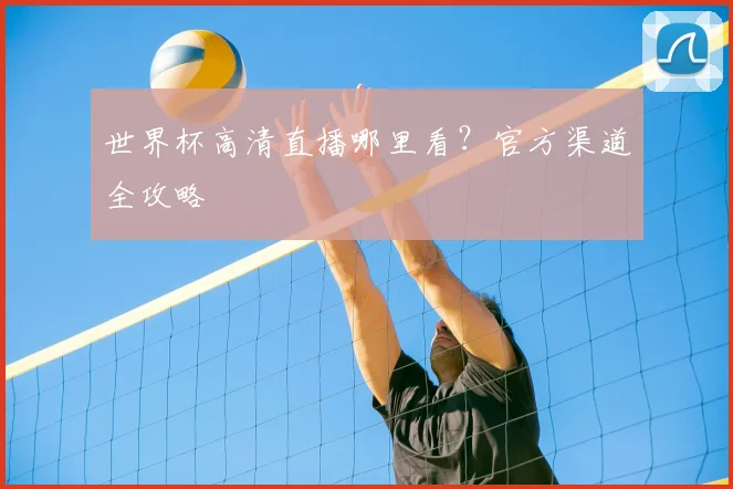 世界杯高清直播哪里看?官方渠道全攻略